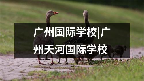广州国际学校|广州天河国际学校