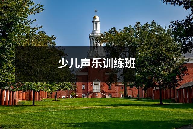 少儿声乐训练班