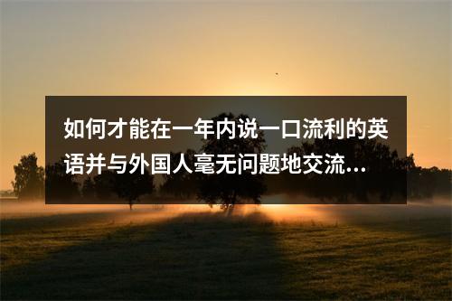 如何才能在一年内说一口流利的英语并与外国人毫无问题地交流?