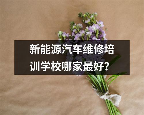 新能源汽车维修培训学校哪家最好?