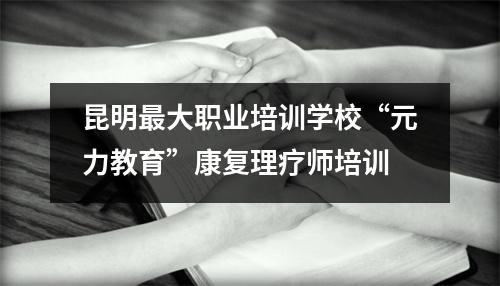 昆明最大职业培训学校“元力教育”康复理疗师培训