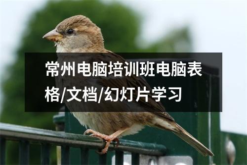 常州电脑培训班电脑表格/文档/幻灯片学习