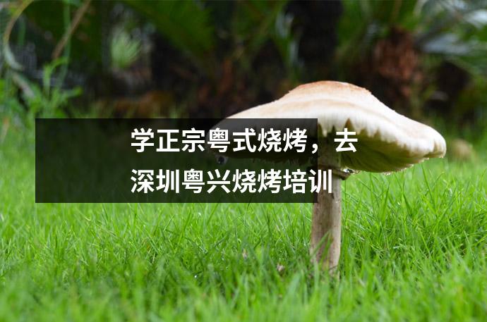 学正宗粤式烧烤,去深圳粤兴烧烤培训