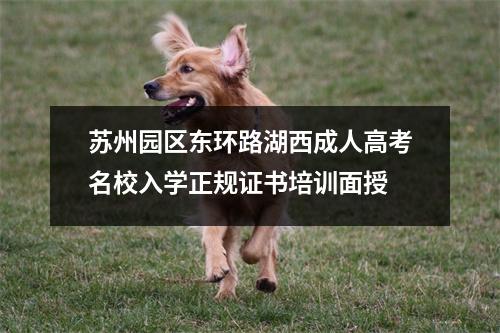 苏州园区东环路湖西成人高考名校入学正规证书培训面授
