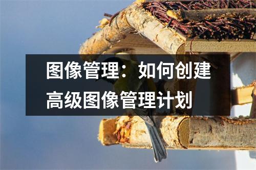 图像管理:如何创建高级图像管理计划