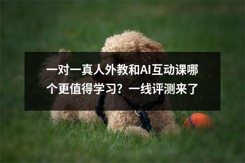 一对一真人外教和AI互动课哪个更值得学习?一线评测来了
