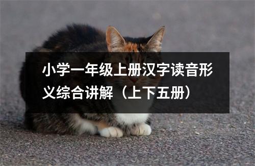 小学一年级上册汉字读音形义综合讲解(上下五册)