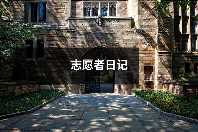 志愿者日记