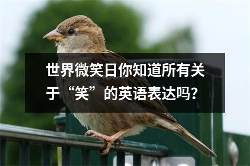 世界微笑日你知道所有关于“笑”的英语表达吗?