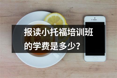 报读小托福培训班的学费是多少?