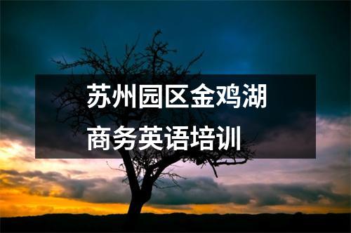 苏州园区金鸡湖商务英语培训
