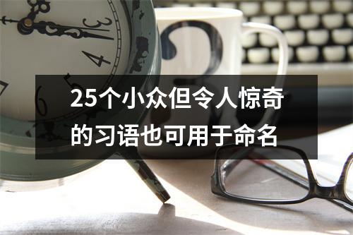 25个小众但令人惊奇的习语也可用于命名