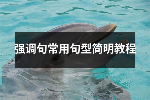强调句常用句型简明教程