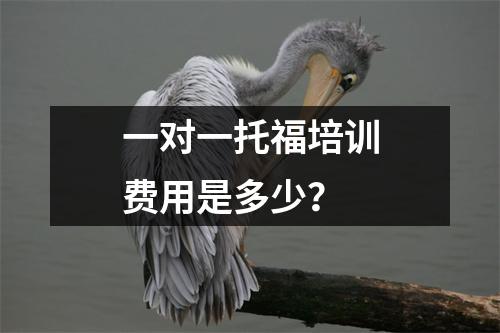 一对一托福培训费用是多少?