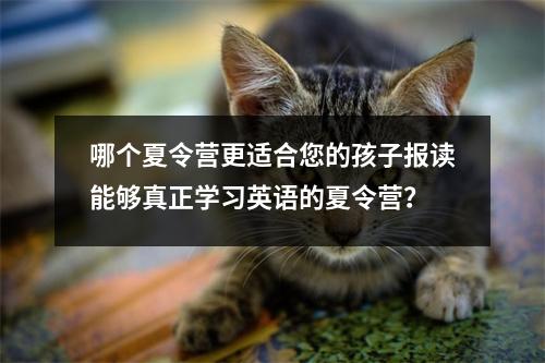 哪个夏令营更适合您的孩子报读能够真正学习英语的夏令营?