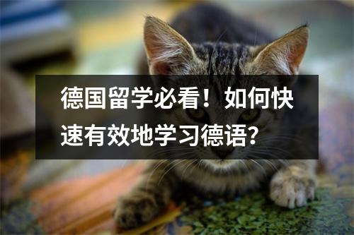德国留学必看!如何快速有效地学习德语?