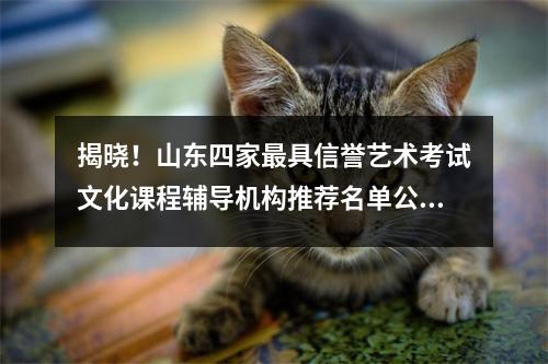 揭晓!山东四家最具信誉艺术考试文化课程辅导机构推荐名单公布