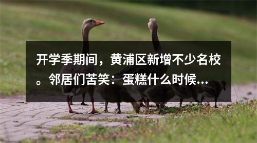 开学季期间,黄浦区新增不少名校。邻居们苦笑:蛋糕什么时候才能送到我手里?
