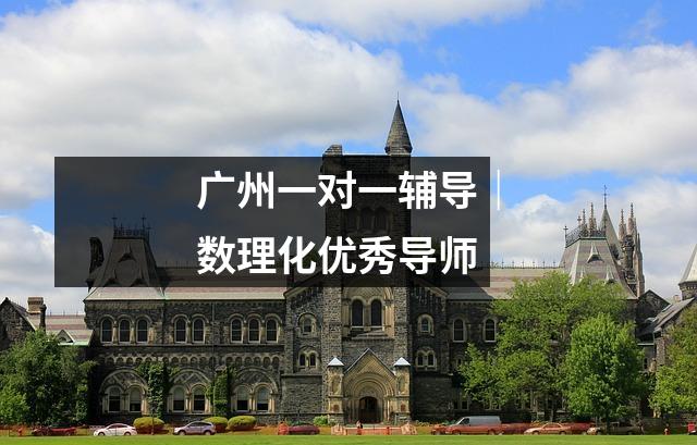 广州一对一辅导|数理化优秀导师
