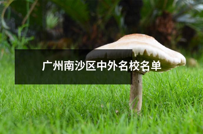 广州南沙区中外名校名单