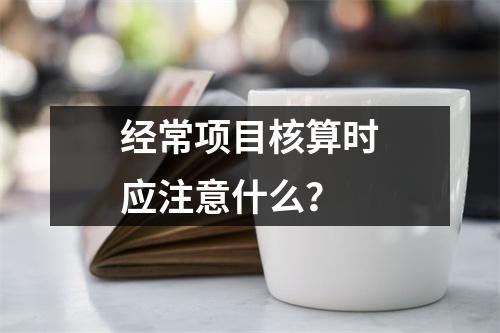 经常项目核算时应注意什么?
