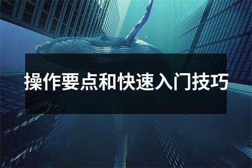 操作要点和快速入门技巧