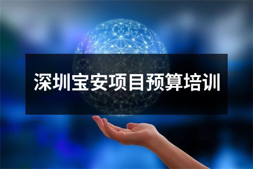深圳宝安项目预算培训