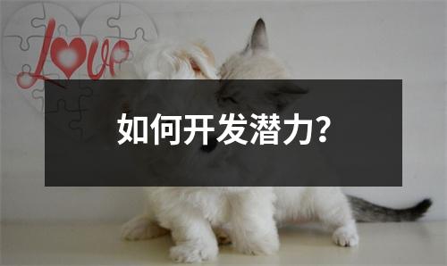 如何开发潜力?