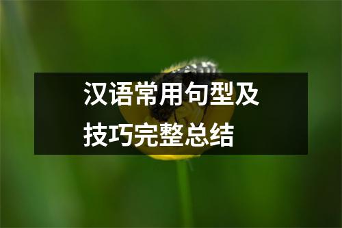 汉语常用句型及技巧完整总结
