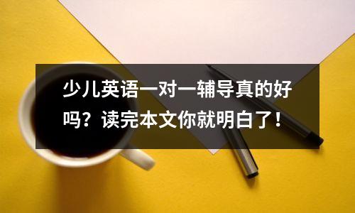 少儿英语一对一辅导真的好吗?读完本文你就明白了!