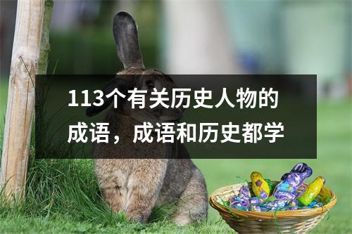 113个有关历史人物的成语,成语和历史都学