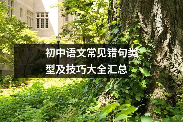 初中语文常见错句类型及技巧大全汇总