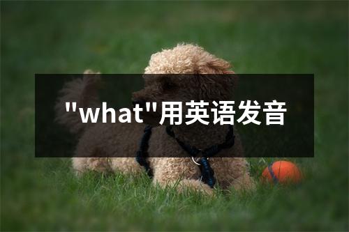 "what"用英语发音