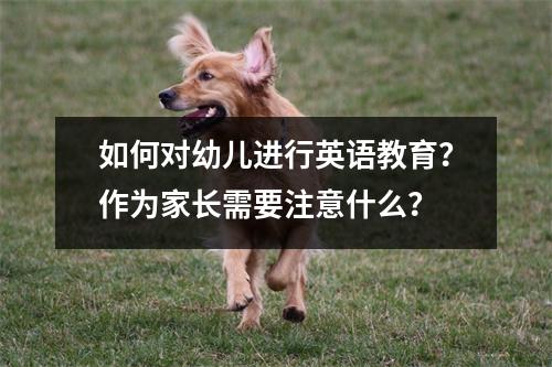 如何对幼儿进行英语教育?作为家长需要注意什么?