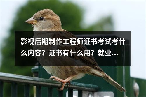 影视后期制作工程师证书考试考什么内容?证书有什么用?就业方向是什么?