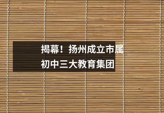 揭幕!扬州成立市属初中三大教育集团