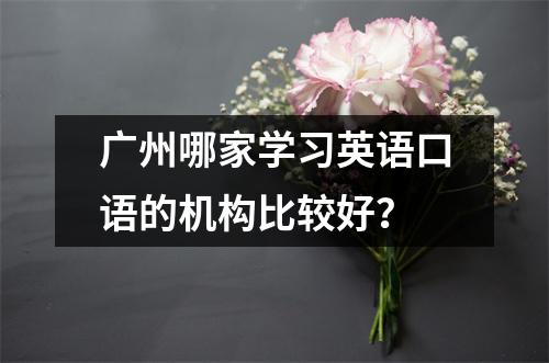 广州哪家学习英语口语的机构比较好?