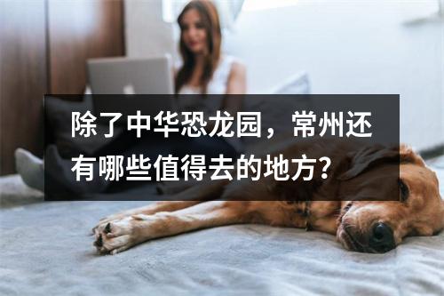 除了中华恐龙园,常州还有哪些值得去的地方?