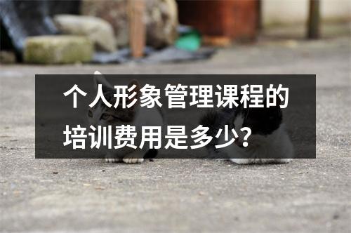 个人形象管理课程的培训费用是多少?