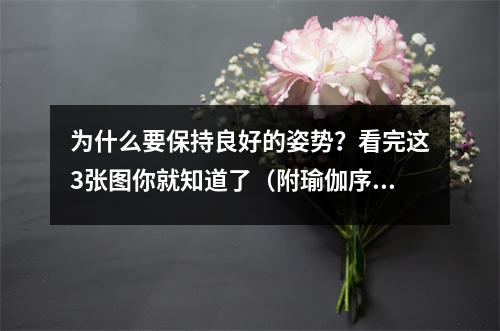 为什么要保持良好的姿势?看完这3张图你就知道了(附瑜伽序列)