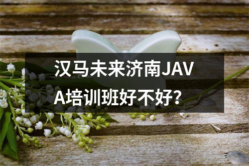 汉马未来济南JAVA培训班好不好?
