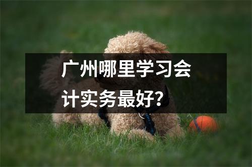 广州哪里学习会计实务最好?
