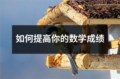 如何提高你的数学成绩