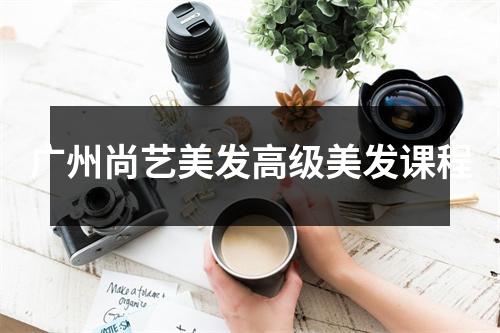 广州尚艺美发高级美发课程