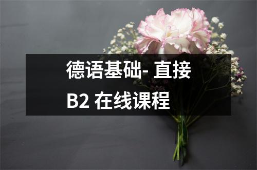德语基础- 直接B2 在线课程