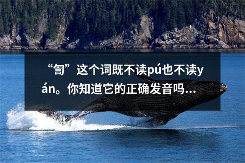 “訇”这个词既不读pú也不读yán。你知道它的正确发音吗?