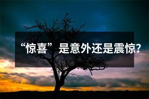 “惊喜”是意外还是震惊?