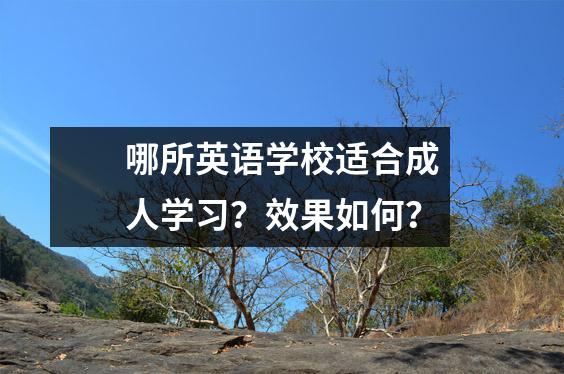 哪所英语学校适合成人学习?效果如何?