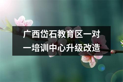广西岱石教育区一对一培训中心升级改造