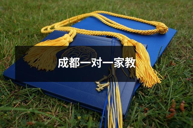 成都一对一家教
